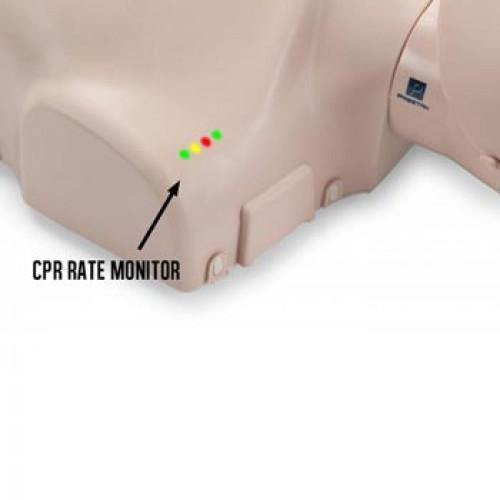 Prestan - Mannequin adulte (Formation)-Équipement de formation-Boutique Impact Santé+